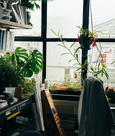 Photo of a windowsill with lots of green plants and books